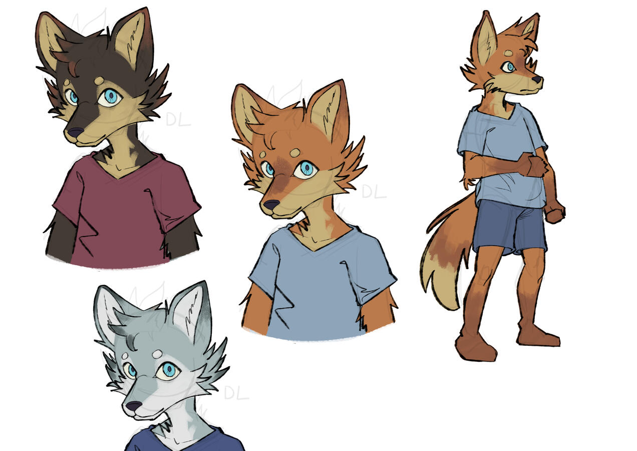 Fox Concepts